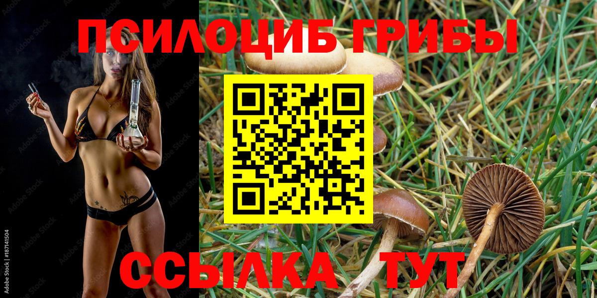 Мичуринск  Псилоцибиновые грибы мицелий  магазин  наркотиков  Галлюциногенные грибы мухоморы  Вход с VPN 
